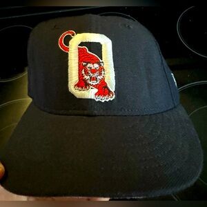 Minor league tigers hat!